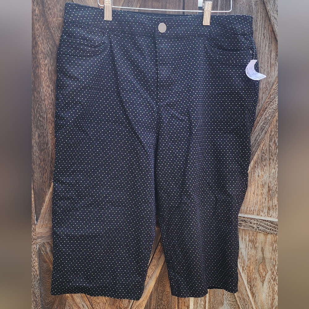 Christopher & Banks NWT Classic Fit Shorts